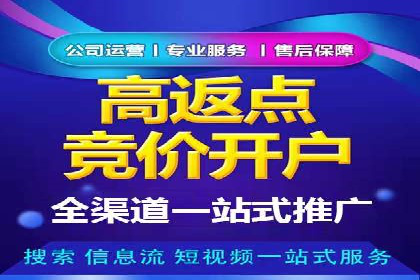 百度竞价广告投放的ROI优化：经典案例分享